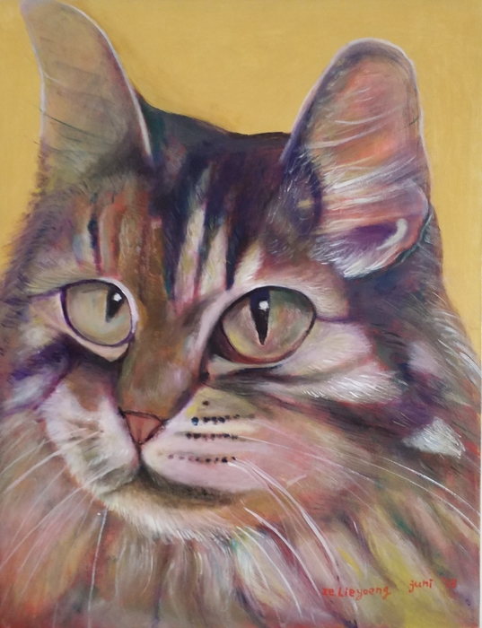 Kucing